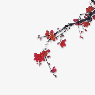 梅花免抠