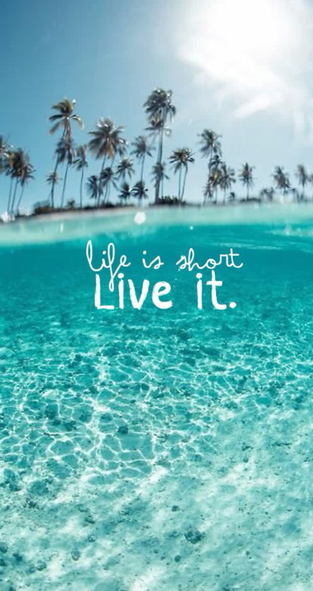 小清新椰树手机壁纸免抠