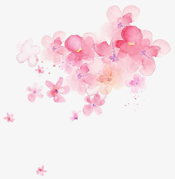 手绘粉色樱花画册免抠