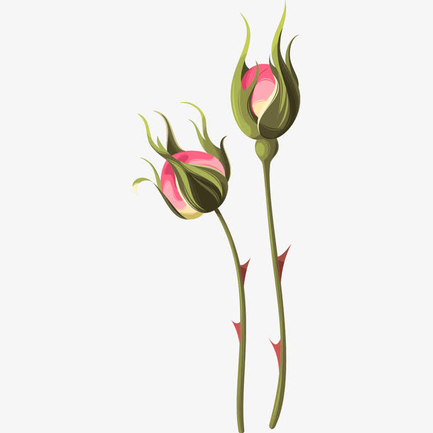 粉色的花苞免抠
