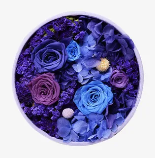 蓝色永生花花盒免扣素材免抠 蓝色永生花花盒免扣素材免抠