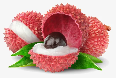 新鲜荔枝元素免抠