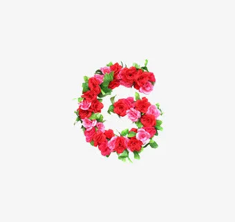 g英文字母花朵免抠