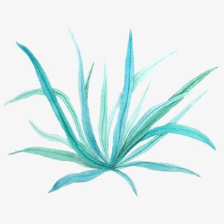 绿草手绘水彩小清新动物植物装饰免抠