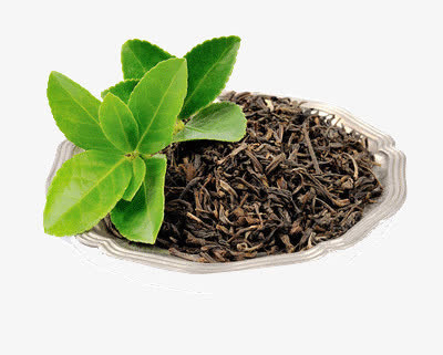 茶盘免抠