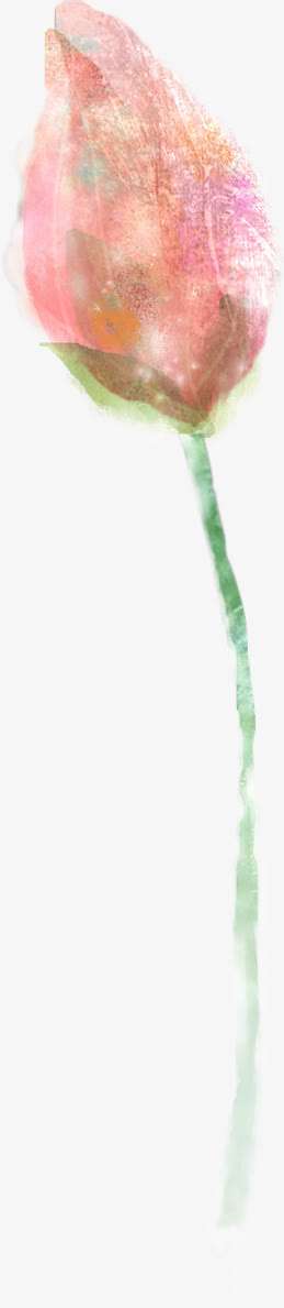 手绘荷叶创意素材免抠