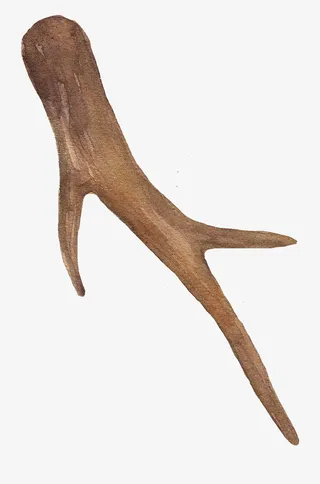 棕色手绘树干装饰免抠