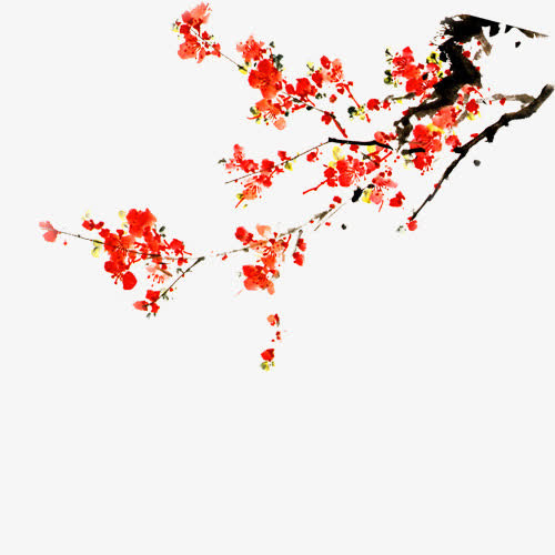 文艺梅花免抠