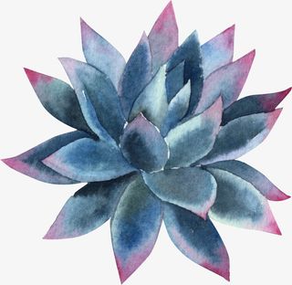 小清新插画广告设计卡通绿色盆栽免抠