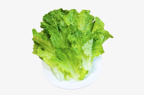 标题 生菜蔬菜免抠