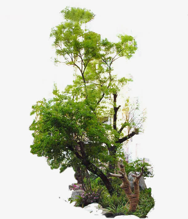 园林 绿化 房地产 景观免抠
