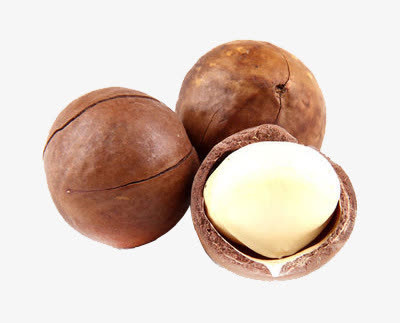 三颗夏威夷果免抠