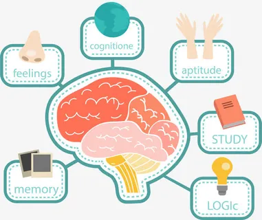 卡通最强大脑思维导图免抠