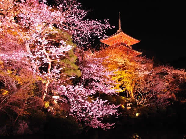 室外场景桃花环境渲染亭子建筑免抠