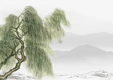 中国风水墨画柳树植物免抠 中国风水墨画柳树植物免抠