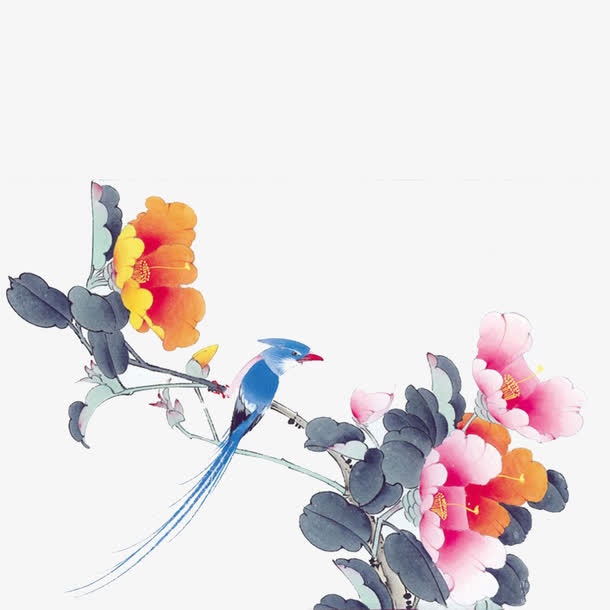 花鸟图免抠