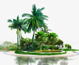 海岛上的风景免抠