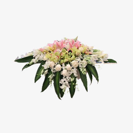 鲜花素材免抠