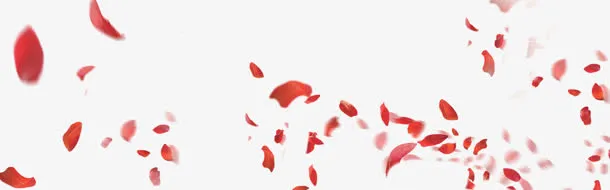 飘散飞舞的红色花瓣免抠