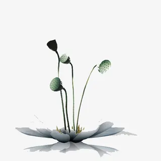 古风中国风荷花免抠