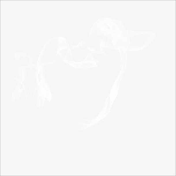 烟雾免抠