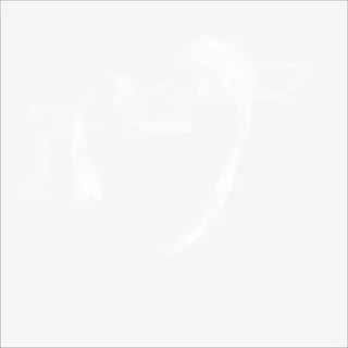 烟雾免抠
