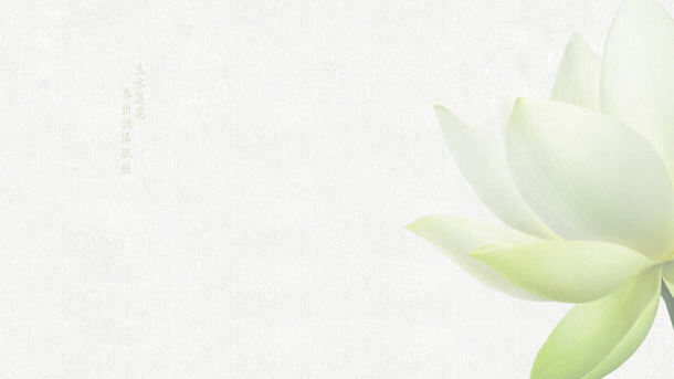 化妆品绿色植物首页免抠