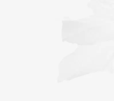 灰色简约花瓣装饰免抠