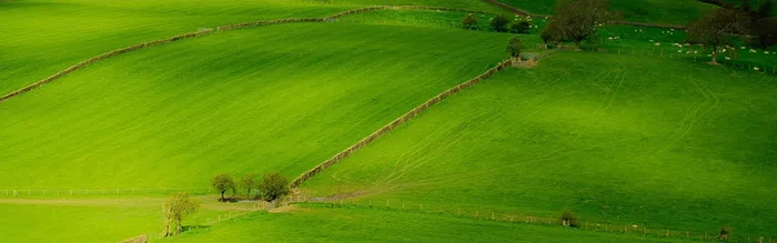 绿色简约草原背景高清
