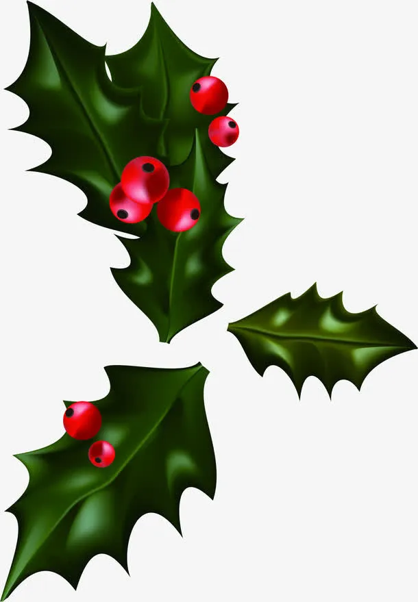 圣诞绿色树叶装饰免抠