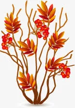 感恩节果实免抠