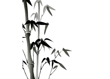 手绘古风竹子元素背景免扣PNG高清