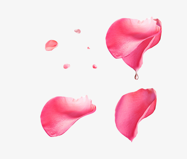 花瓣水滴图案元素免抠漂浮叶子元素