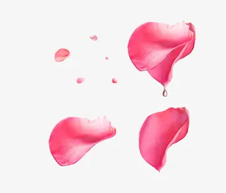 花瓣水滴图案元素免抠漂浮叶子元素