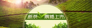 新茶上市banner素材