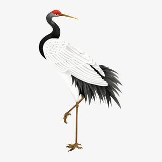 手绘白鹤仙鹤免抠