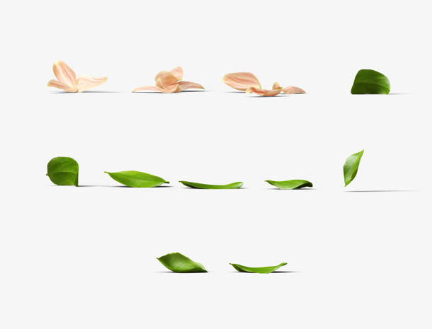 手绘各种绿叶花朵免抠