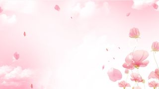 背景 手绘 樱花 植物