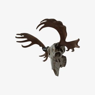 兽头骨家居装饰品免抠