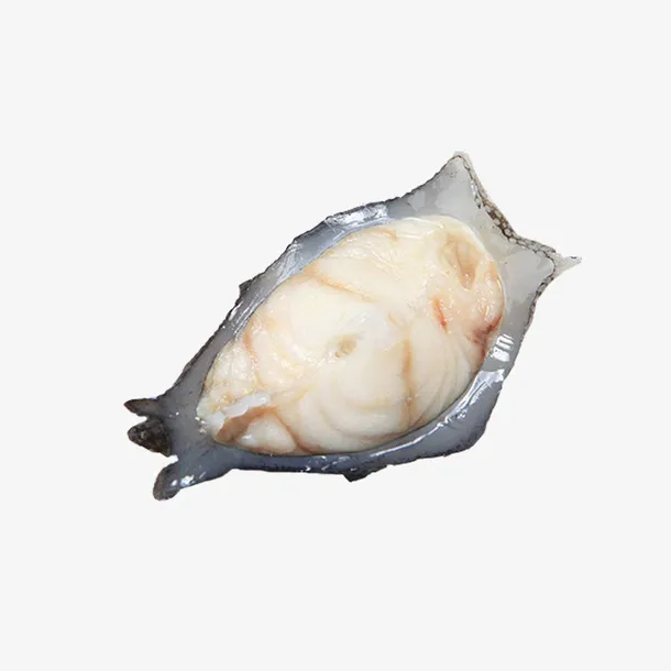 深海海参斑免抠