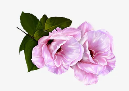 花卉ps素材装饰卡通免抠