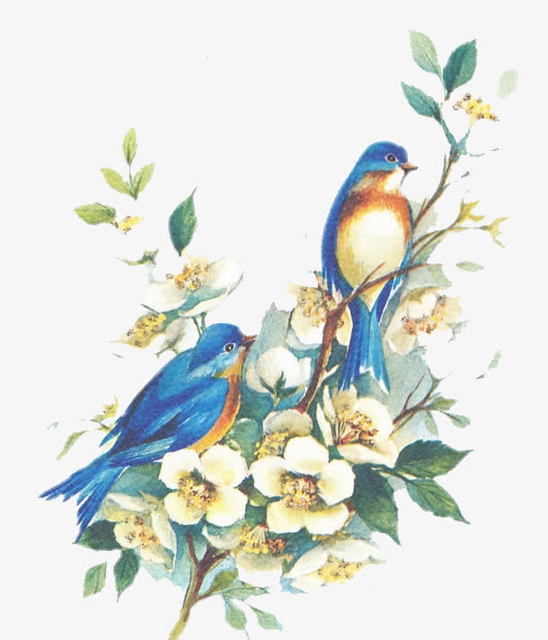 手绘花鸟免抠