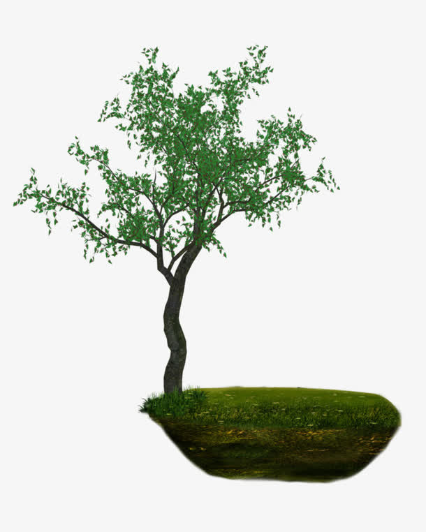 园林花草免抠素材免抠