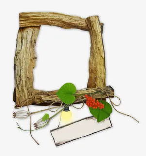 底纹边框 花边框免抠