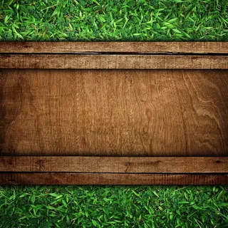 草地背景木板边框免抠
