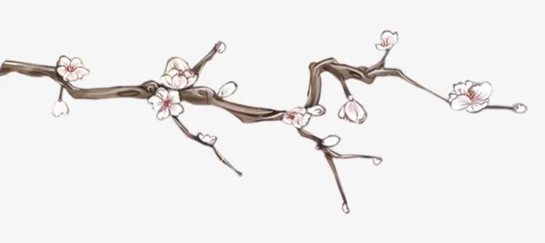 梅花免抠