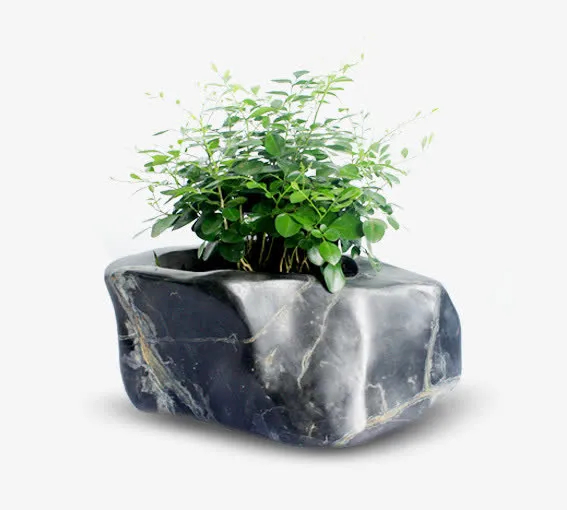 植物石头盆栽免抠
