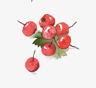 水彩山楂免抠