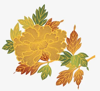 矢量花卉花朵免抠