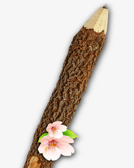 树枝免抠